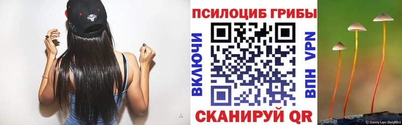 Псилоцибиновые грибы мицелий  Лермонтов 